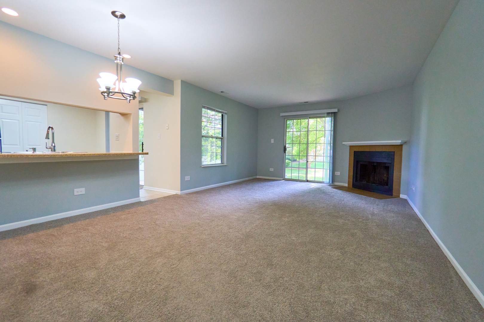 123 Willow Brook Court #3, Schaumburg, IL 60195