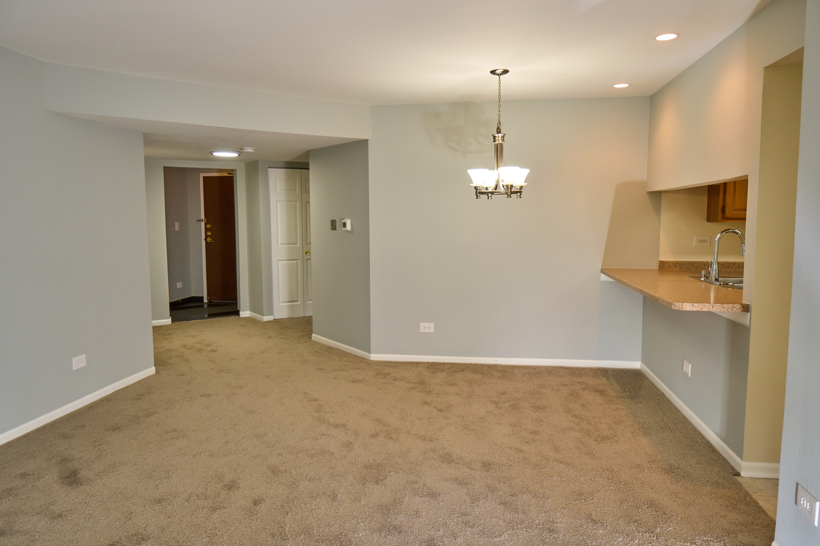 123 Willow Brook Court #3, Schaumburg, IL 60195