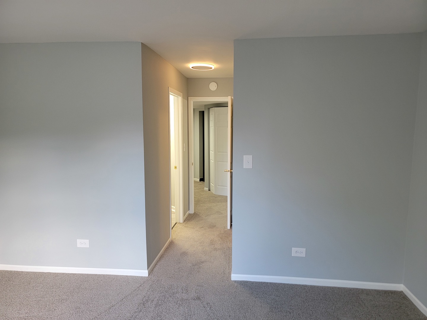123 Willow Brook Court #3, Schaumburg, IL 60195