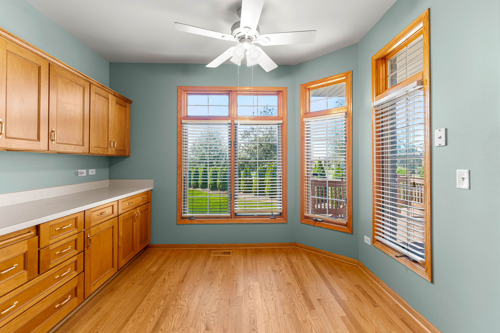 16082 Julia Courtyard, Tinley Park, IL 60477