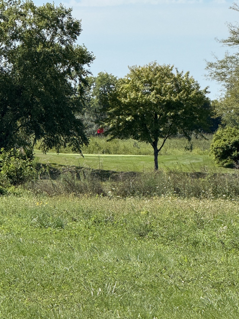 Lot 115 Sec 1-33-6 Country Club Lane, Morris, IL 60450