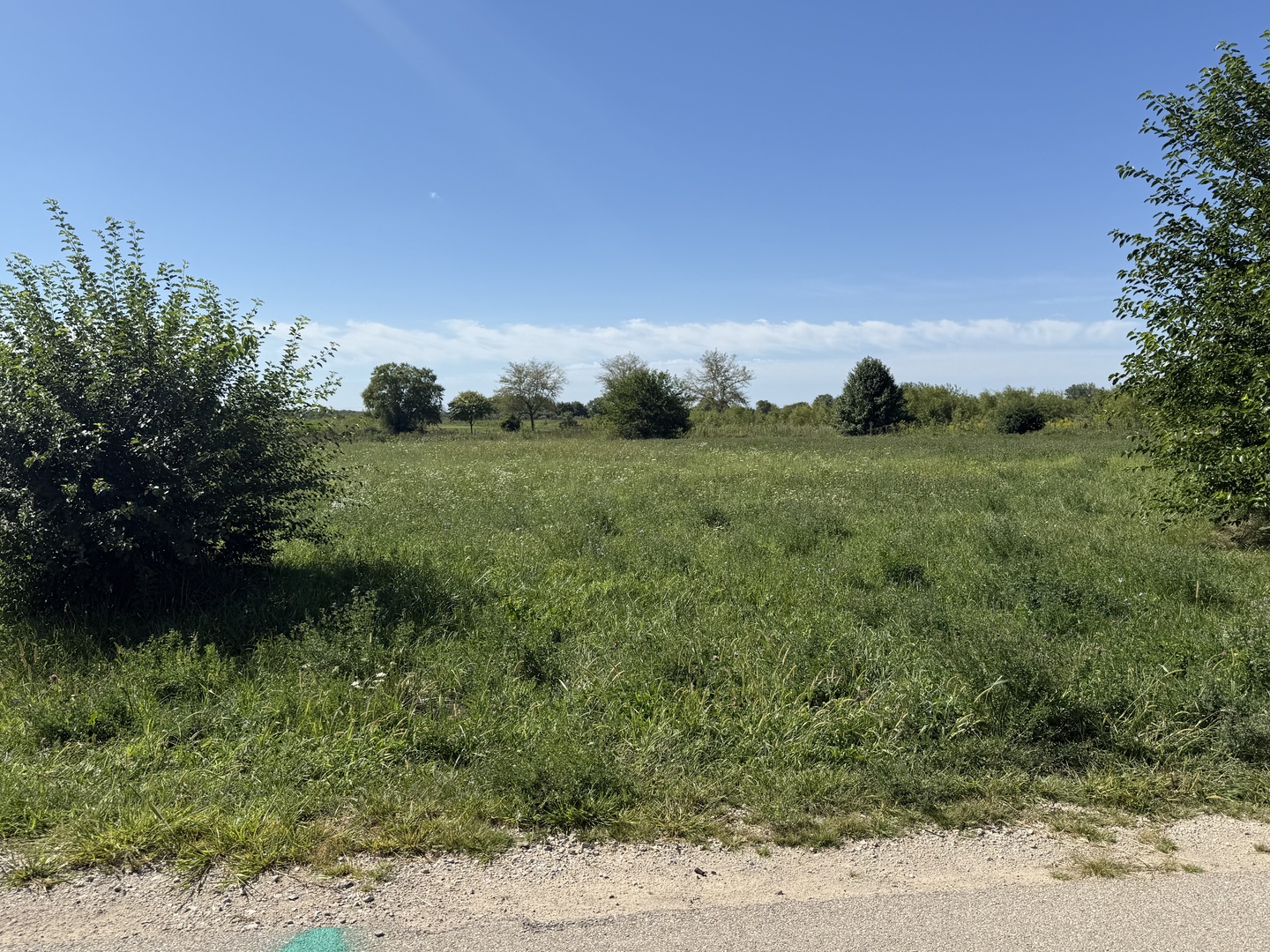 Lot 115 Sec 1-33-6 Country Club Lane, Morris, IL 60450