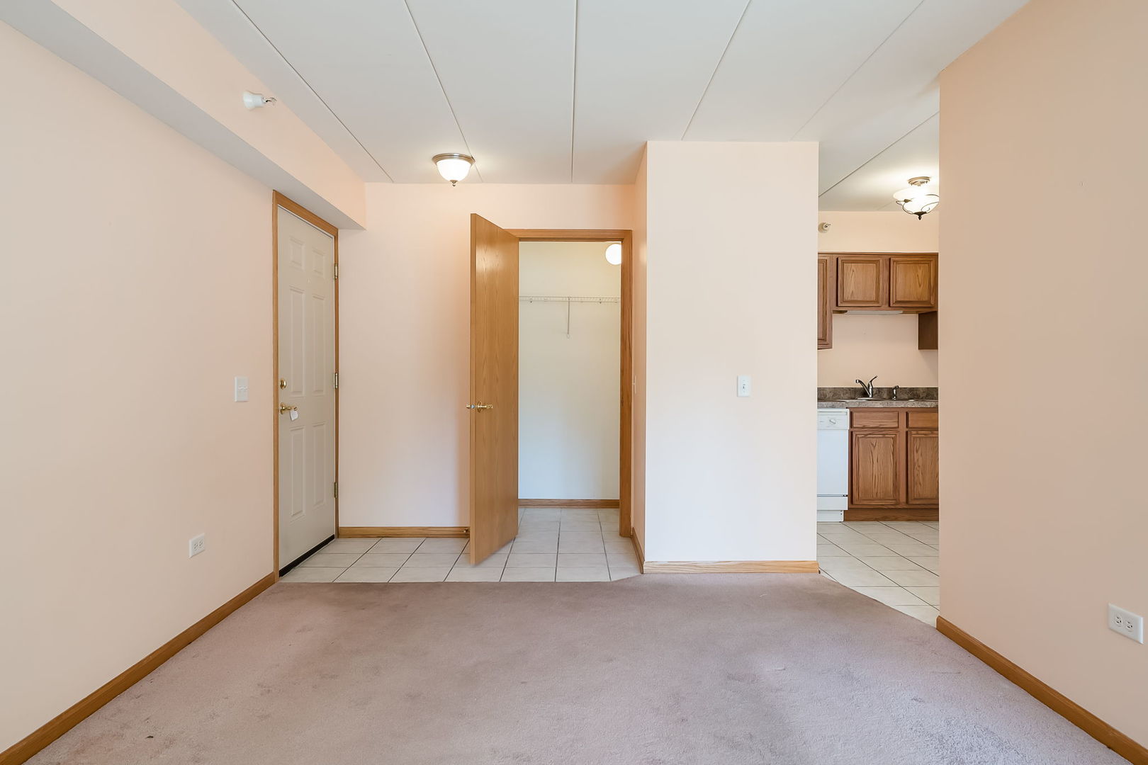 1061 Ashley Court #1A, Lockport, IL 60441
