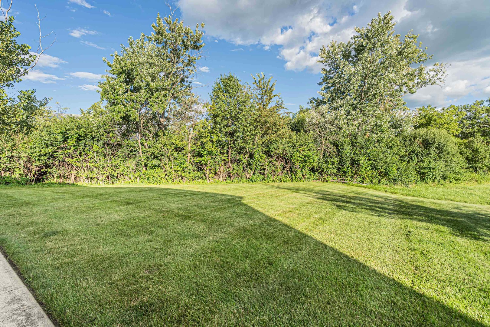 1046 Schoolgate Road, New Lenox, IL 60451