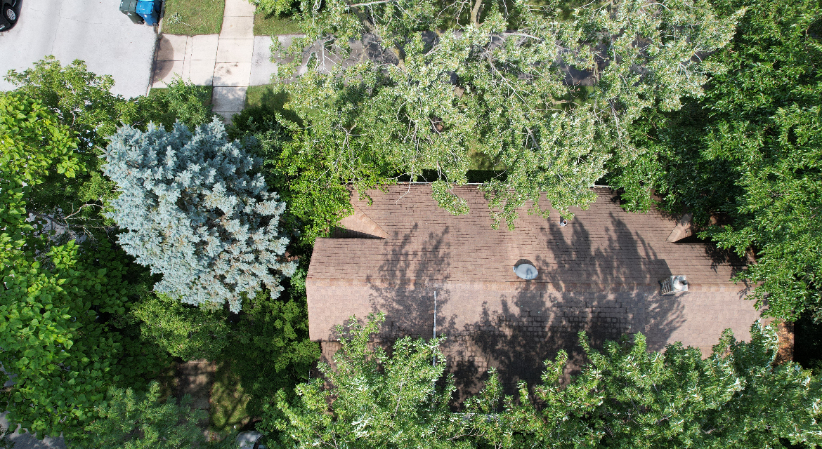 611 Hirsch Avenue, Calumet City, IL 60409