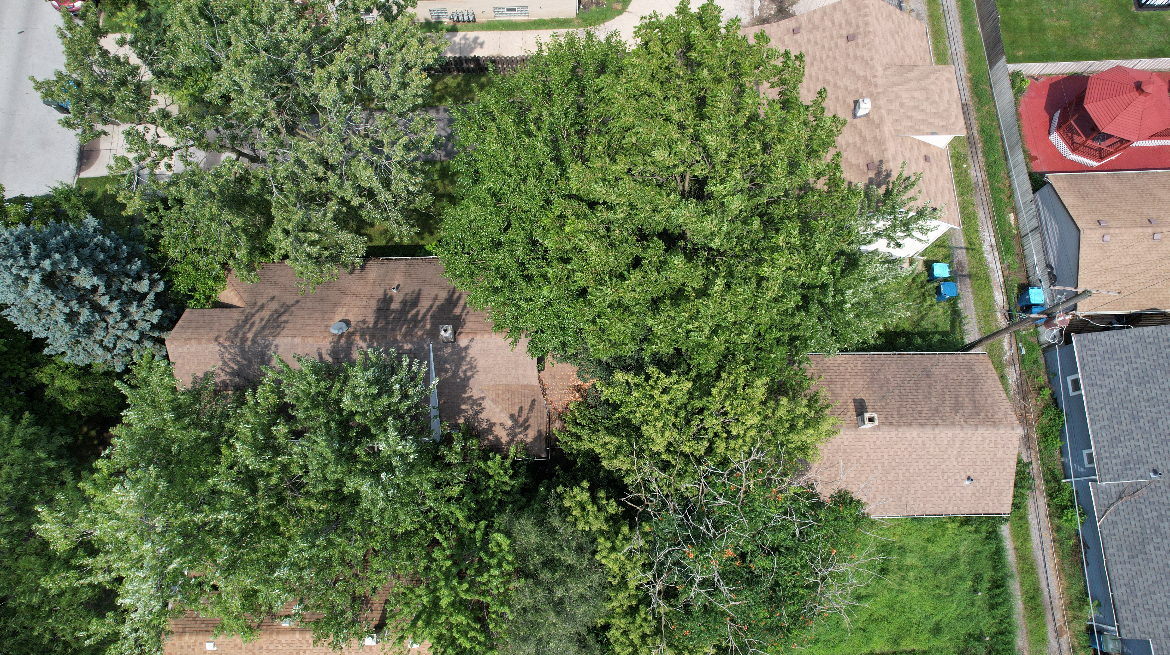 611 Hirsch Avenue, Calumet City, IL 60409