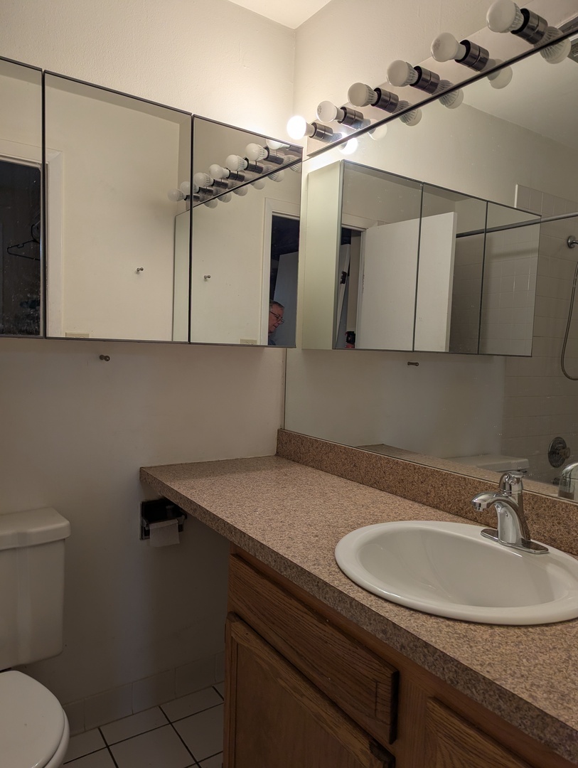 1811 Four Lakes Avenue #4J, Lisle, IL 60532