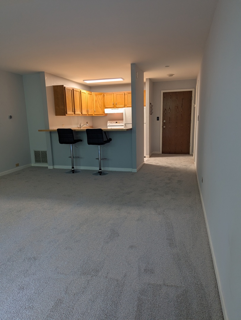 1811 Four Lakes Avenue #4J, Lisle, IL 60532