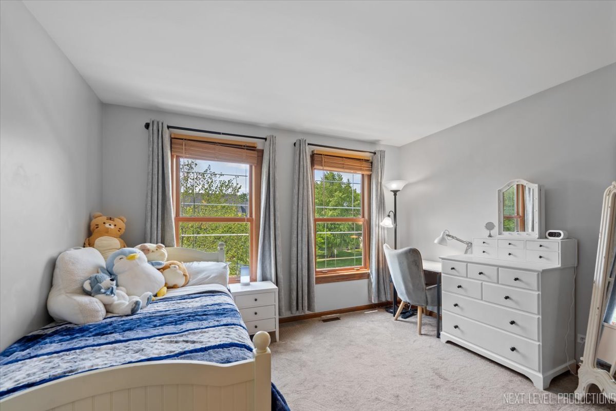 209 Somerset Drive, Sugar Grove, IL 60554