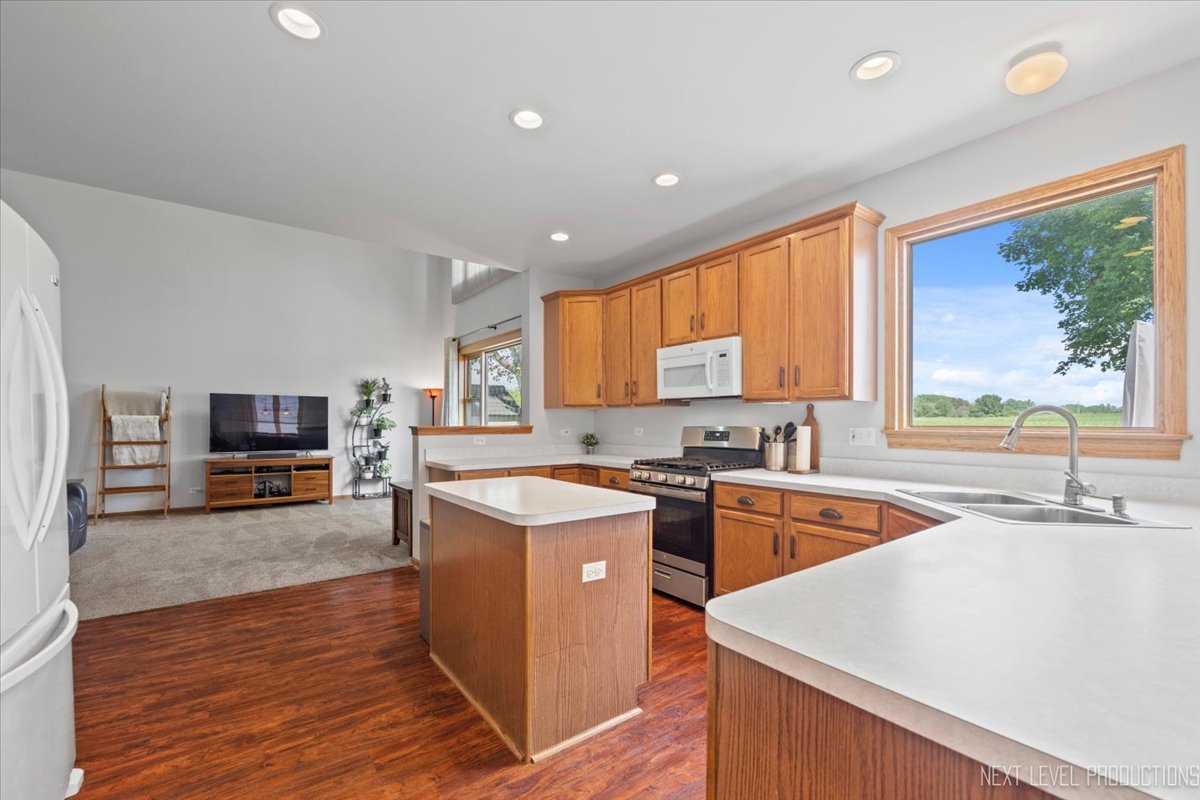209 Somerset Drive, Sugar Grove, IL 60554