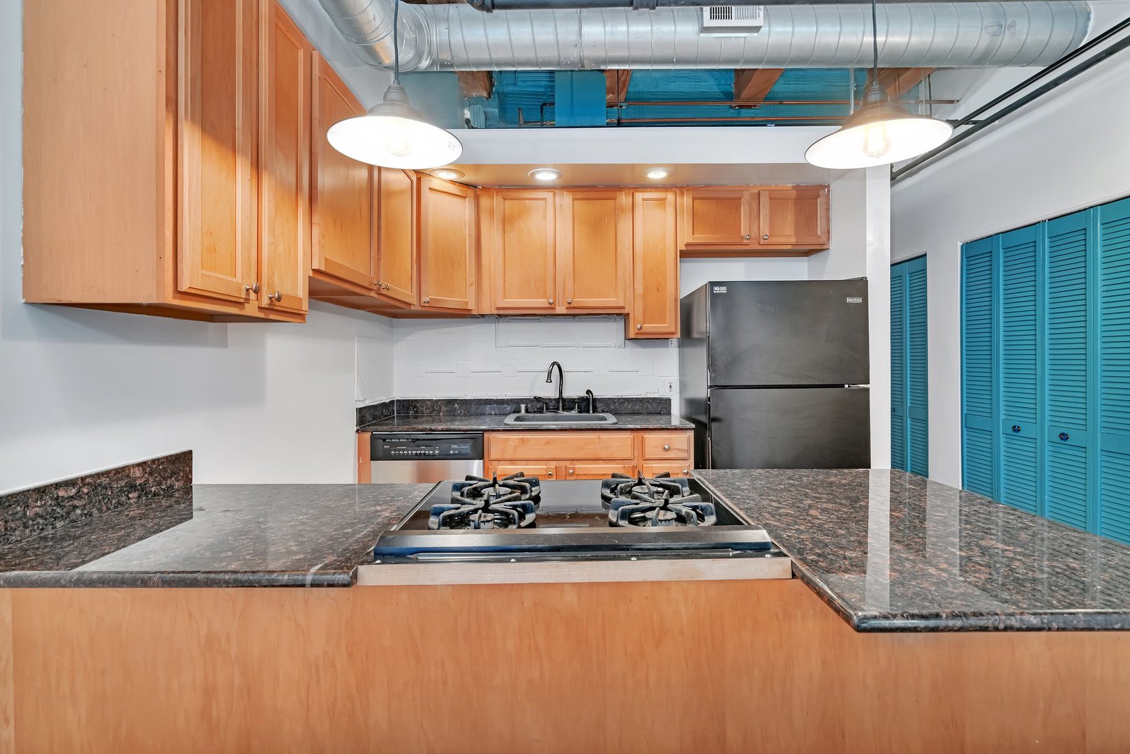 2310 S Canal Street #212, Chicago, IL 60616