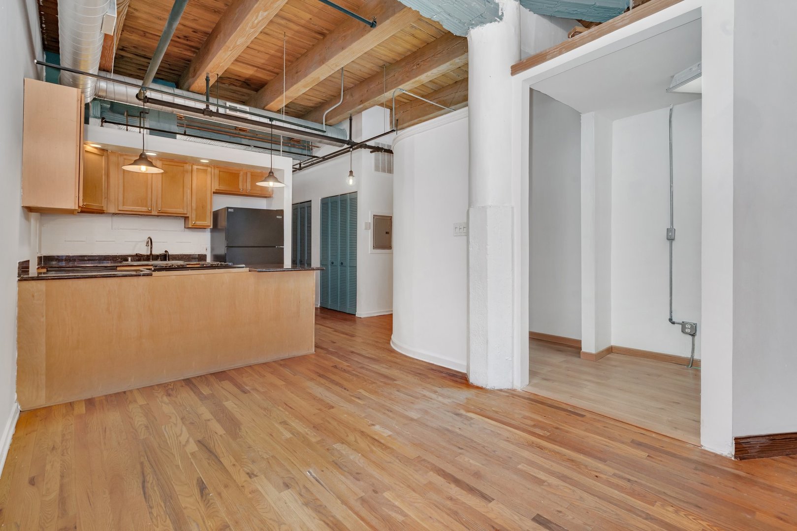 2310 S Canal Street #212, Chicago, IL 60616