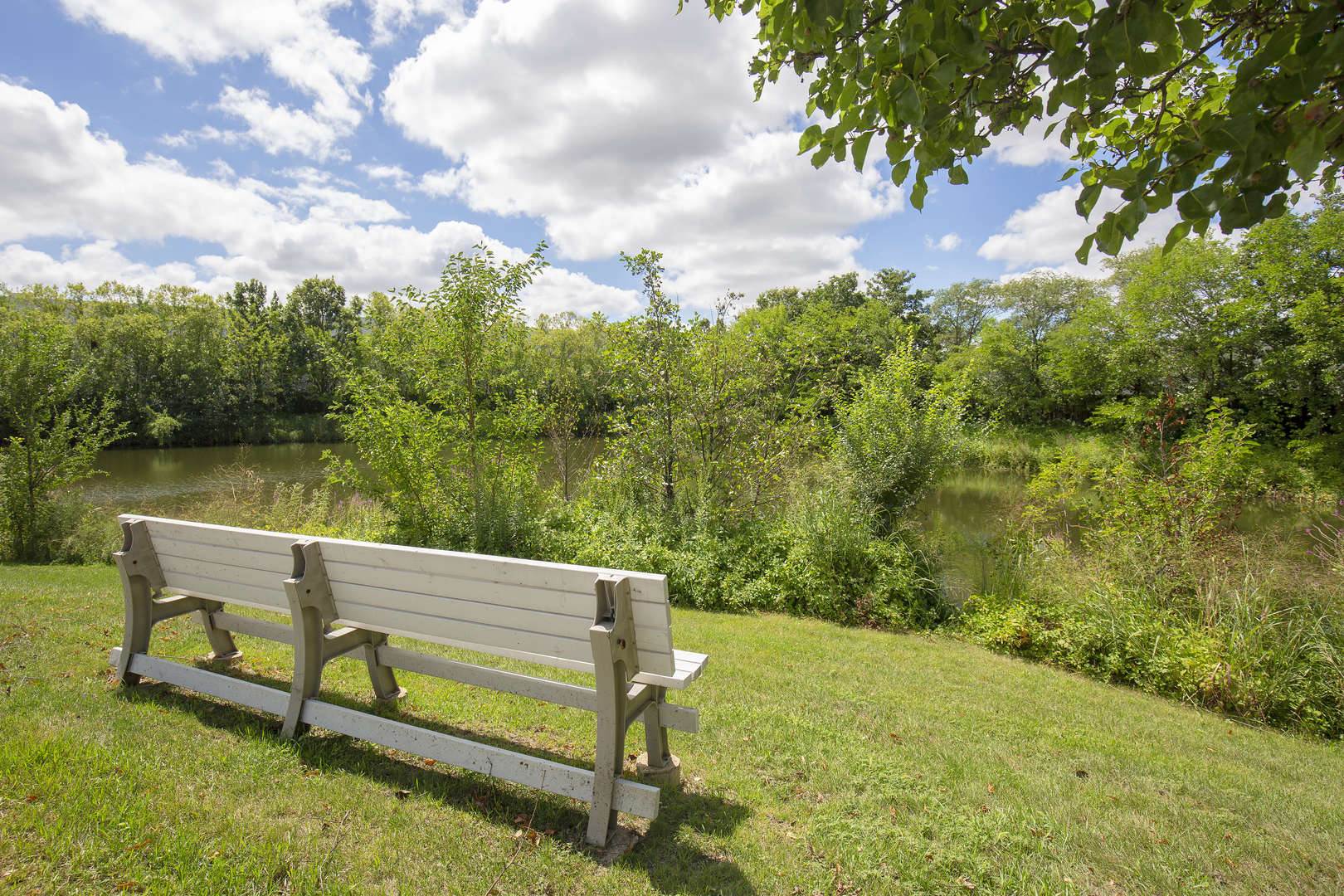 1457 Blackhawk Court #1, Wood Dale, IL 60191
