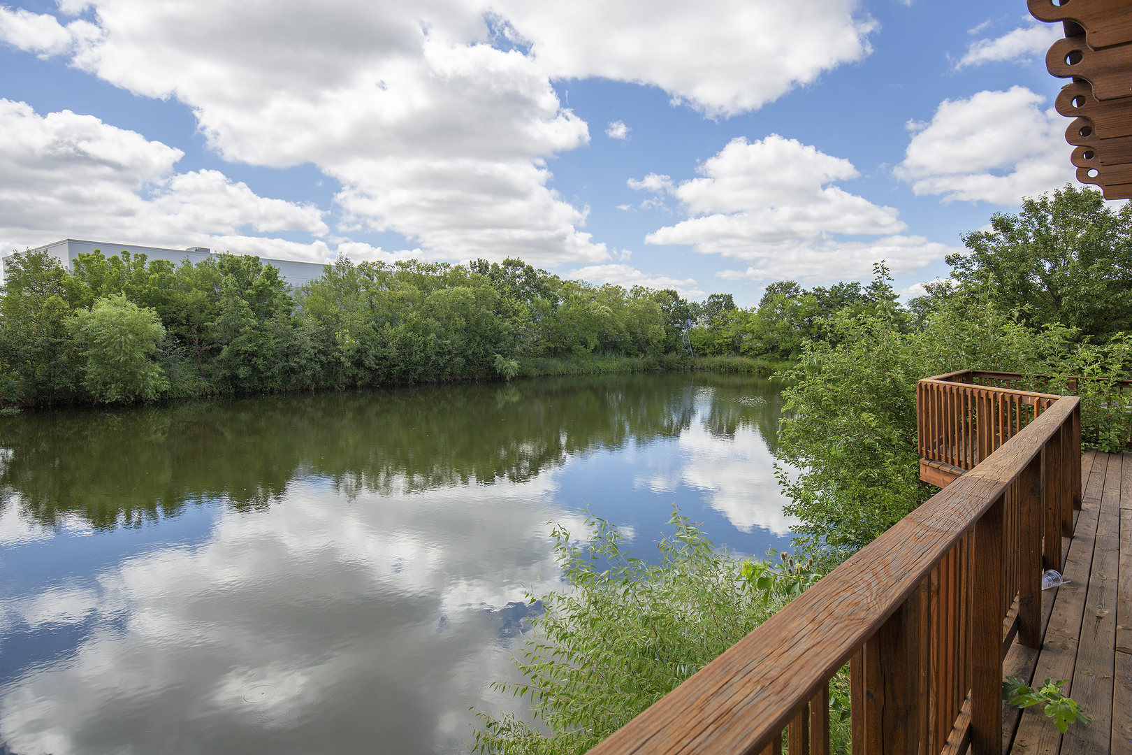1457 Blackhawk Court #1, Wood Dale, IL 60191