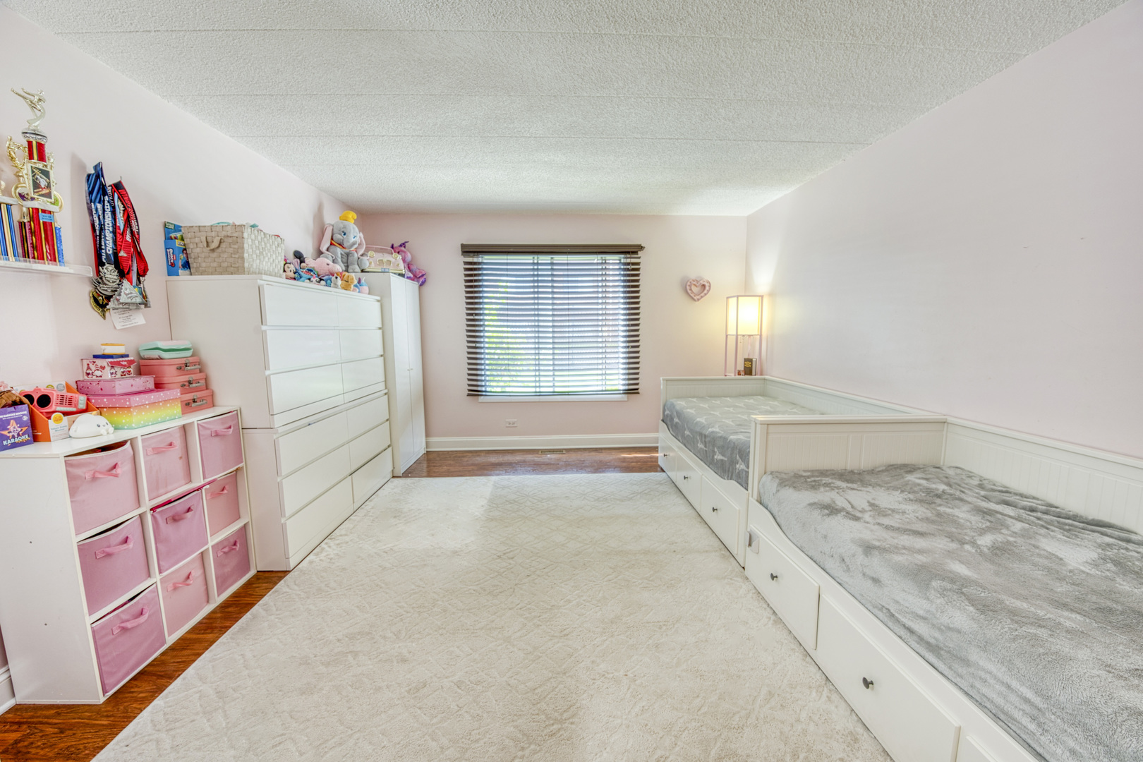 47 W Pier Drive #102, Westmont, IL 60559