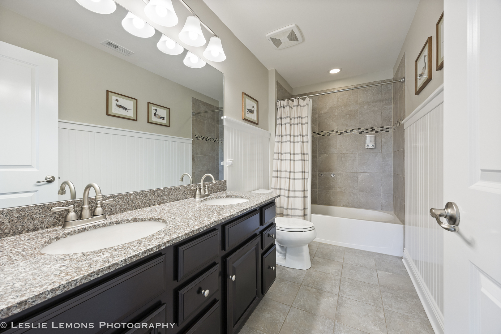 4307 LACEBARK Lane, Naperville, IL 60564