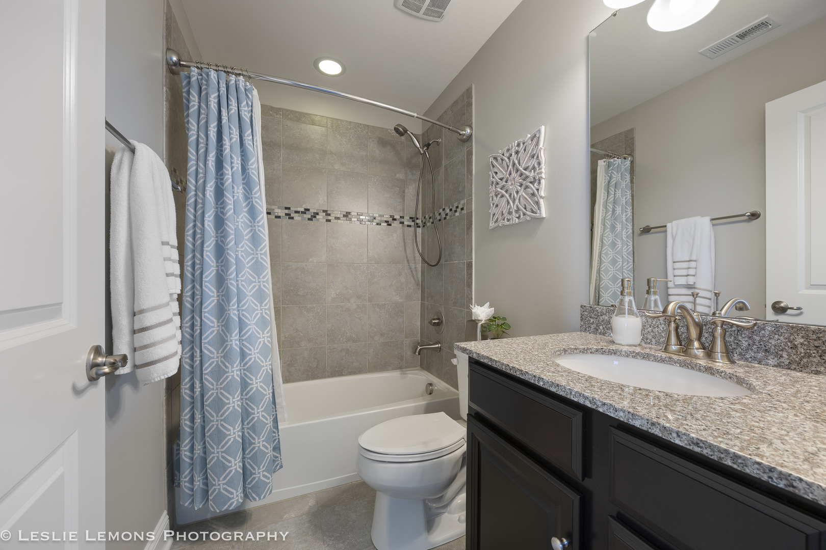 4307 LACEBARK Lane, Naperville, IL 60564