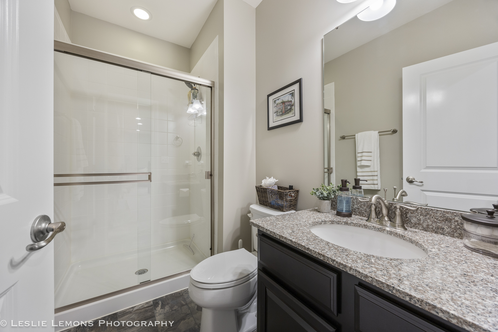 4307 LACEBARK Lane, Naperville, IL 60564