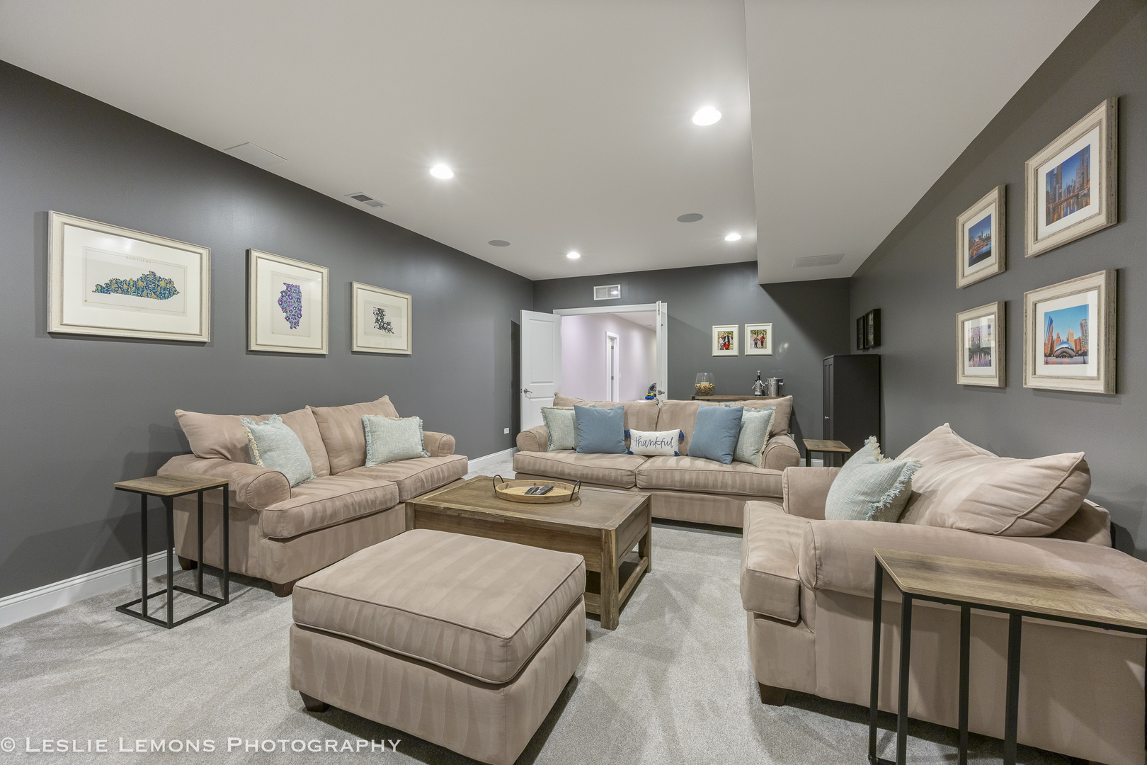 4307 LACEBARK Lane, Naperville, IL 60564