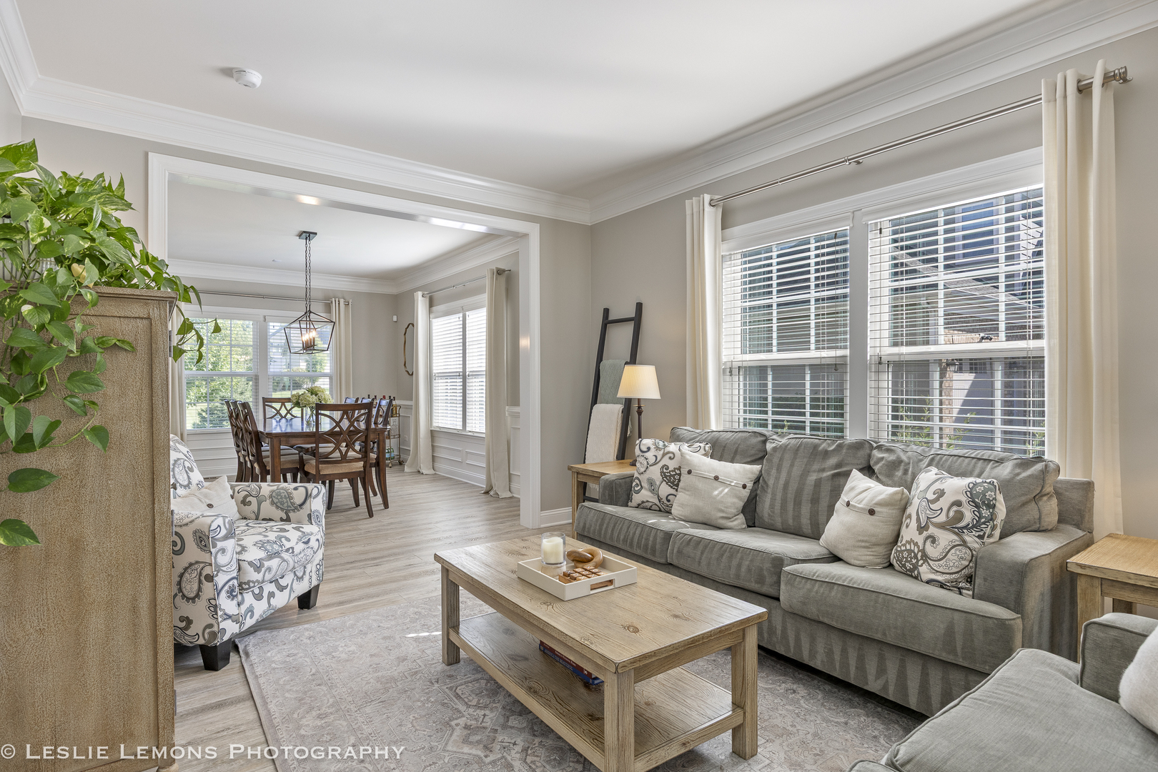 4307 LACEBARK Lane, Naperville, IL 60564