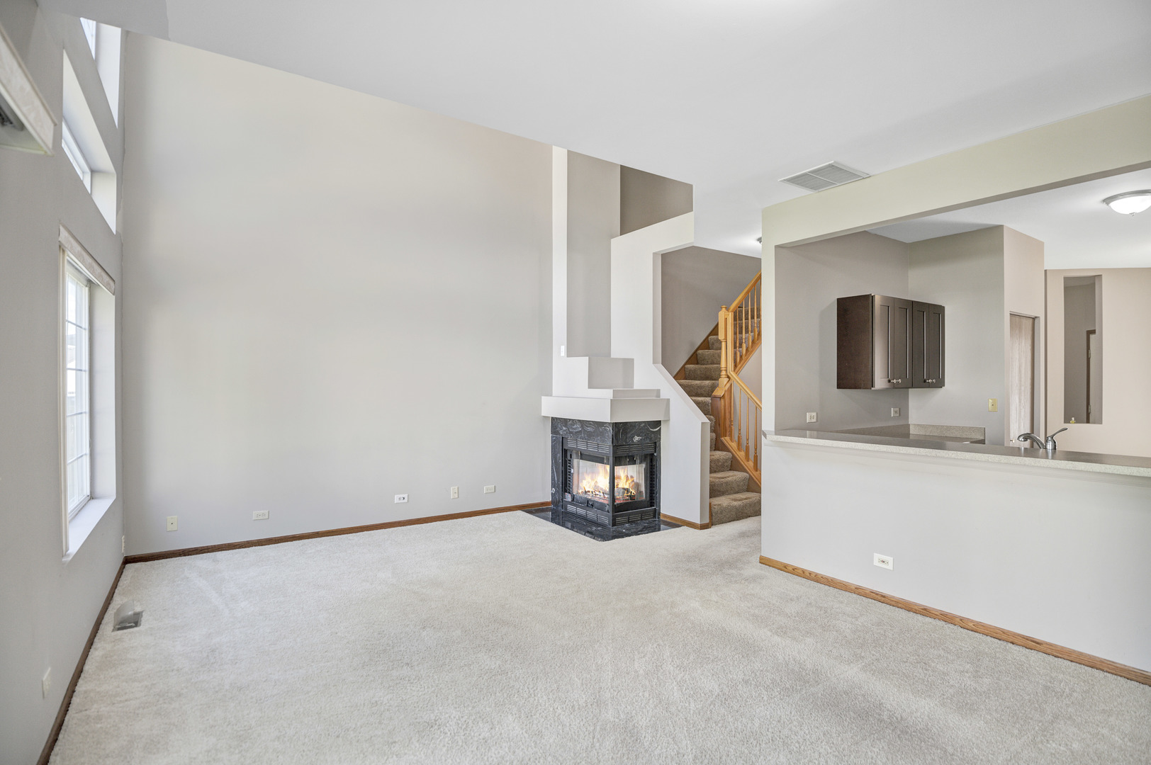 951 Viewpoint Drive #951, Lake In The Hills, IL 60156