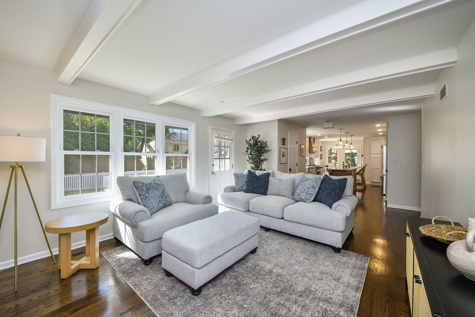 1112 CANDLENUT Drive, Naperville, IL 60540