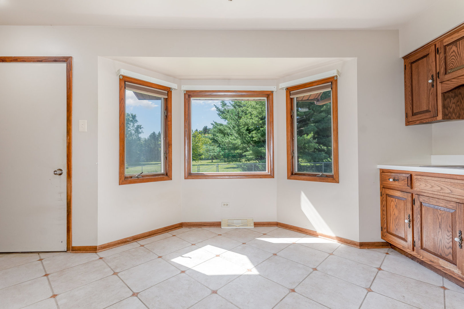 13721 W Carriage Lane, Manhattan, IL 60442