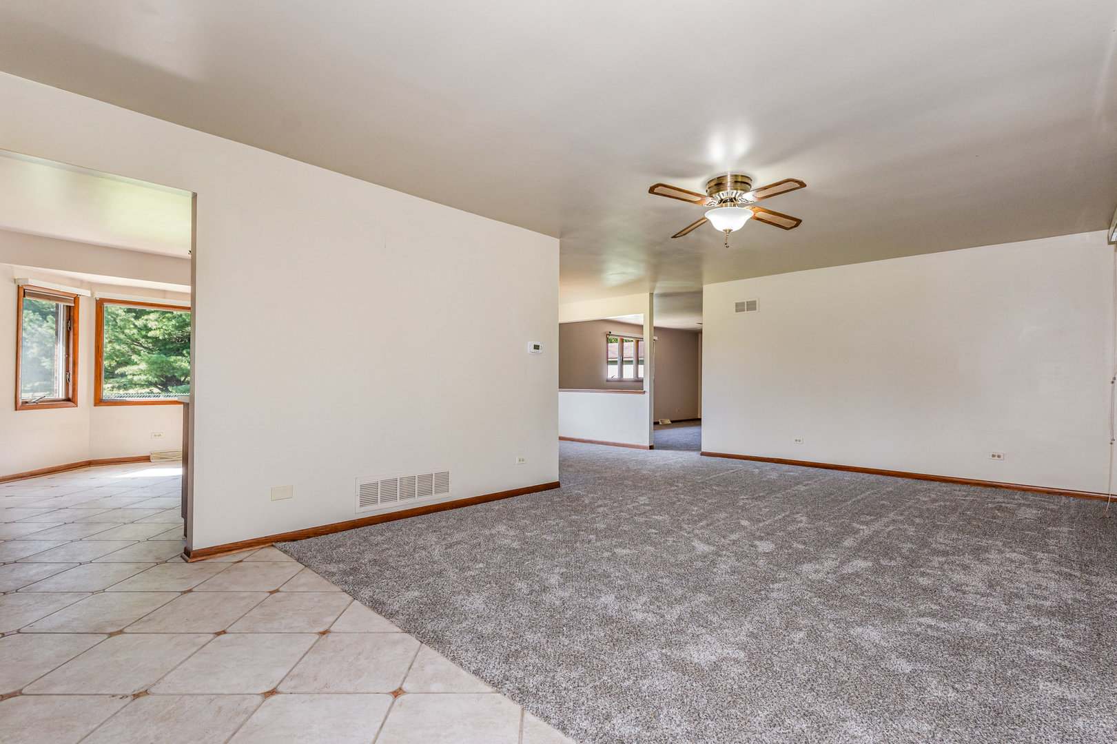 13721 W Carriage Lane, Manhattan, IL 60442