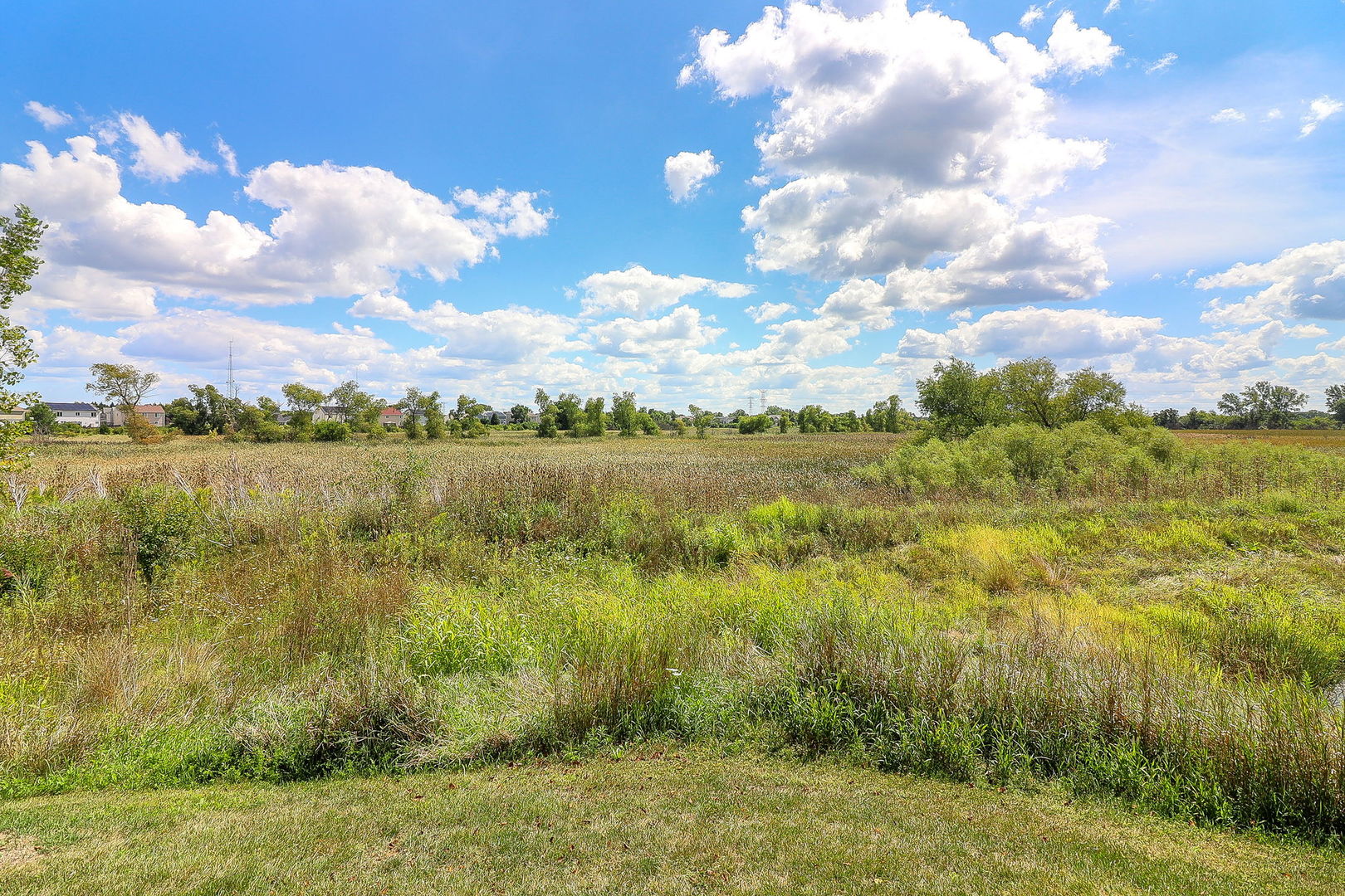 1153 Piccolo Lane, Volo, IL 60073