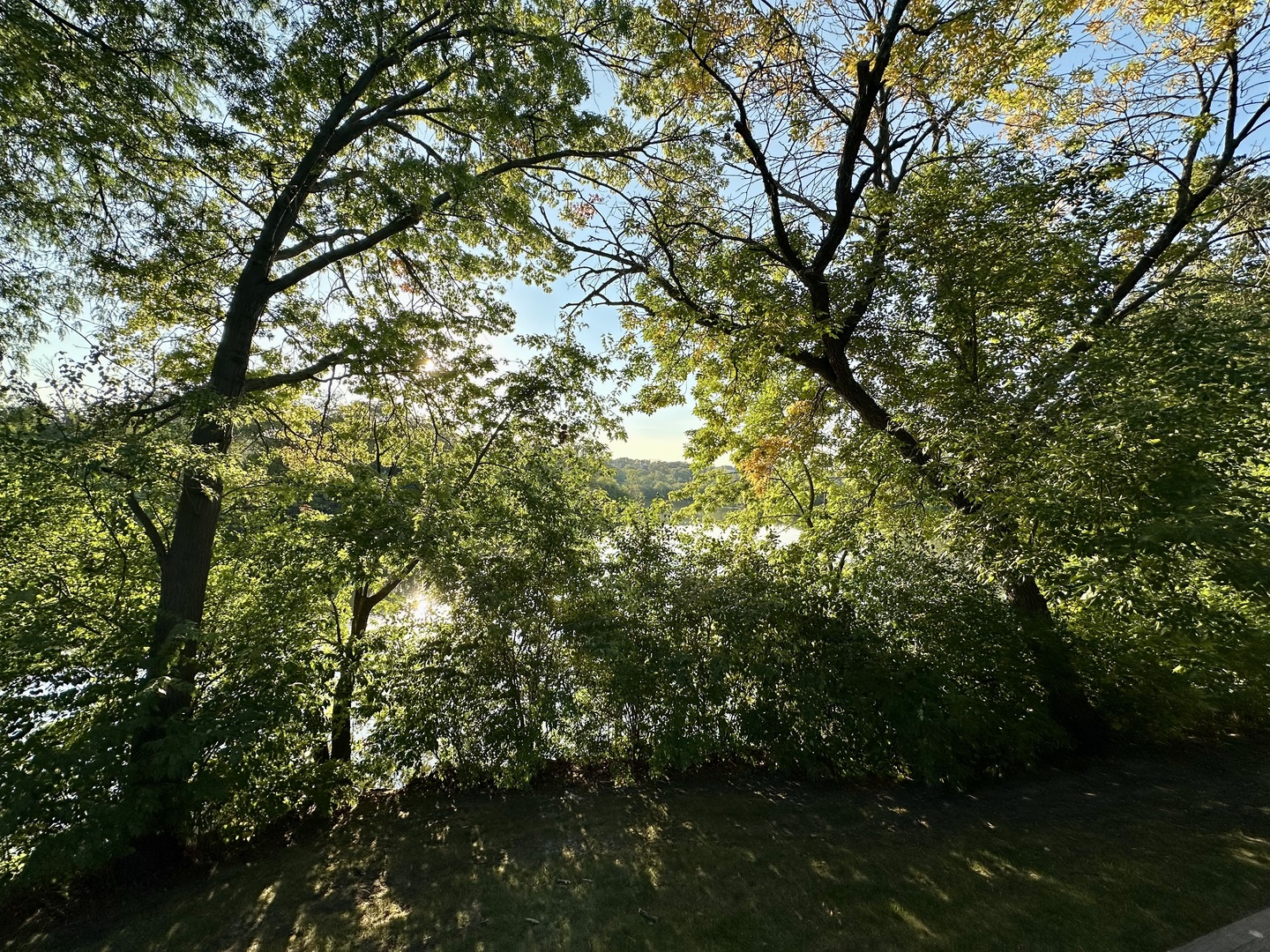 5531 E Lake Drive #77-A, Lisle, IL 60532