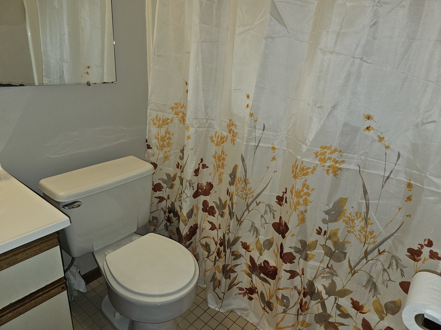 1503 N Milwaukee Avenue #4B, Libertyville, IL 60048