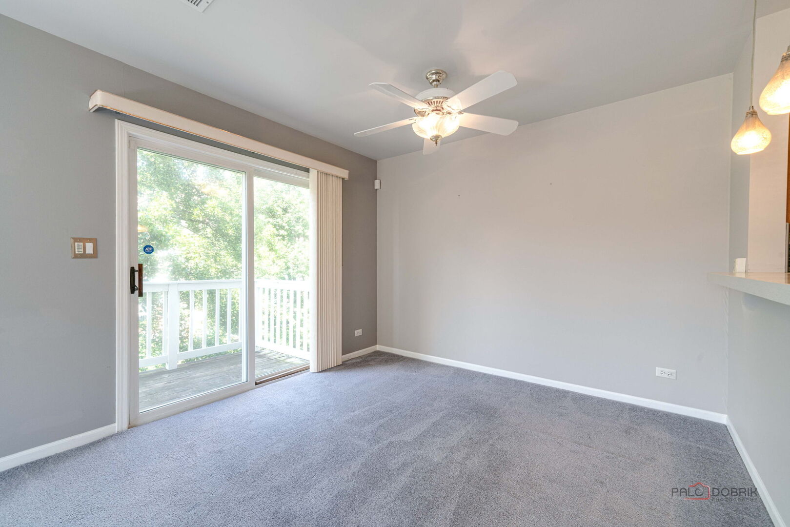 1432 Hampshire Court, Roselle, IL 60172