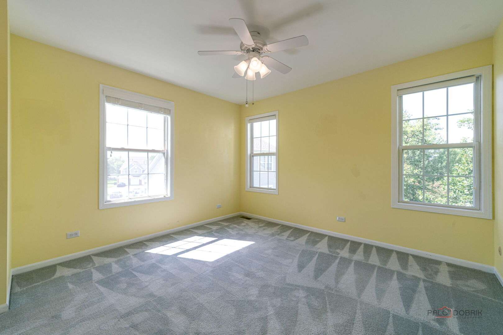 1432 Hampshire Court, Roselle, IL 60172
