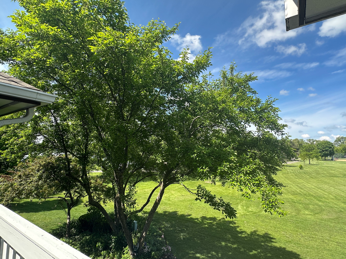174 Hemingway Court #174, Vernon Hills, IL 60061