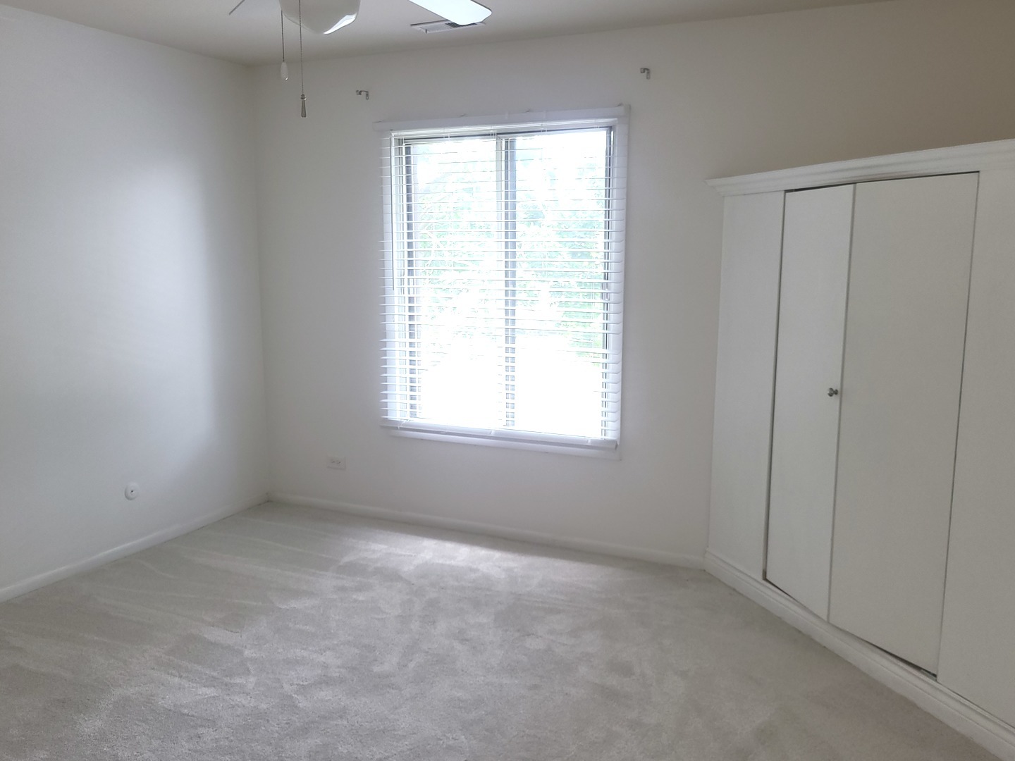 1487 Haverhill Drive #C, Wheaton, IL 60189