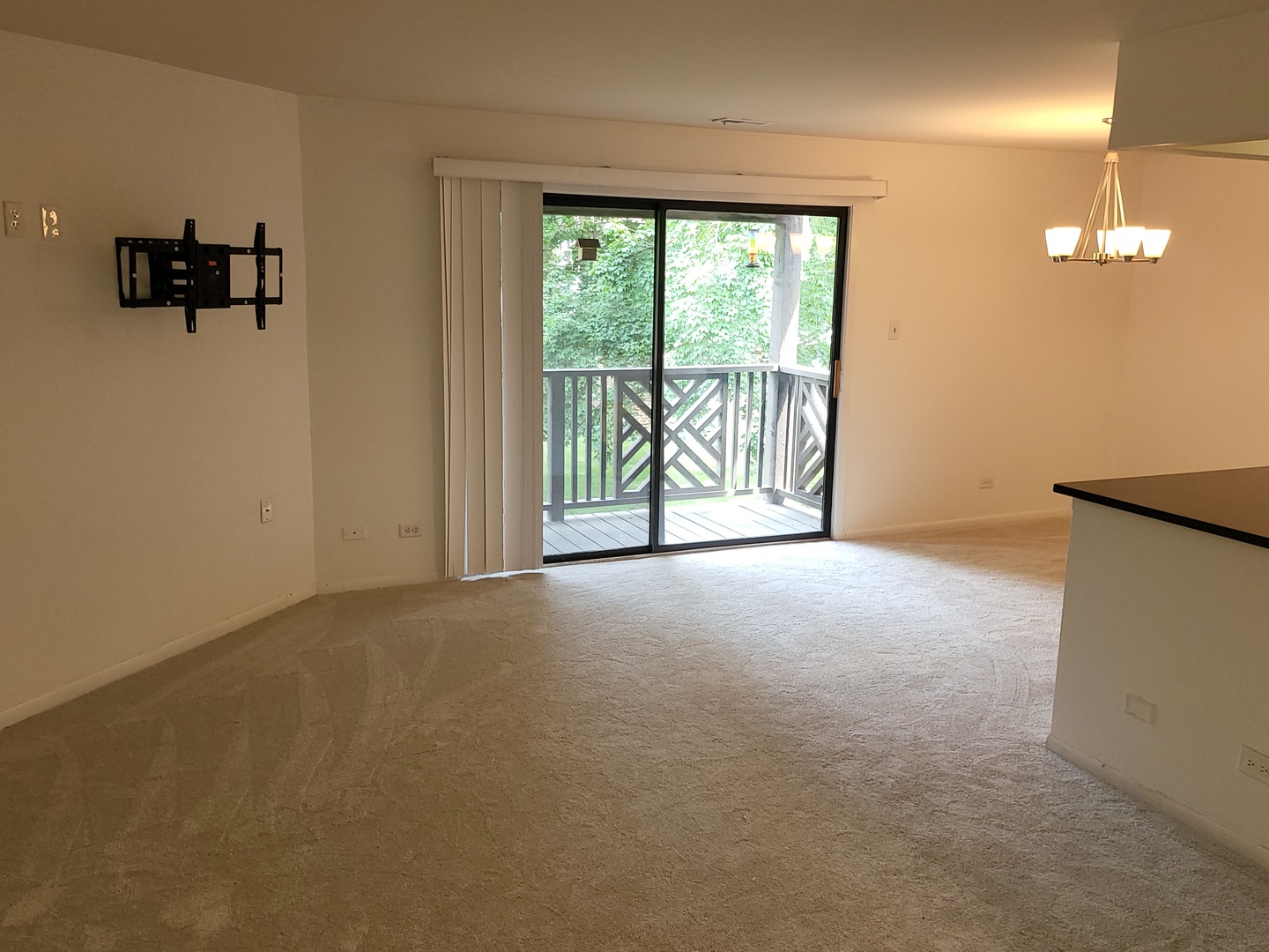 1487 Haverhill Drive #C, Wheaton, IL 60189