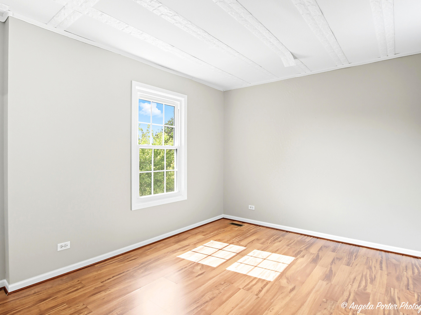 374 W Boxwood Court, Round Lake, IL 60073