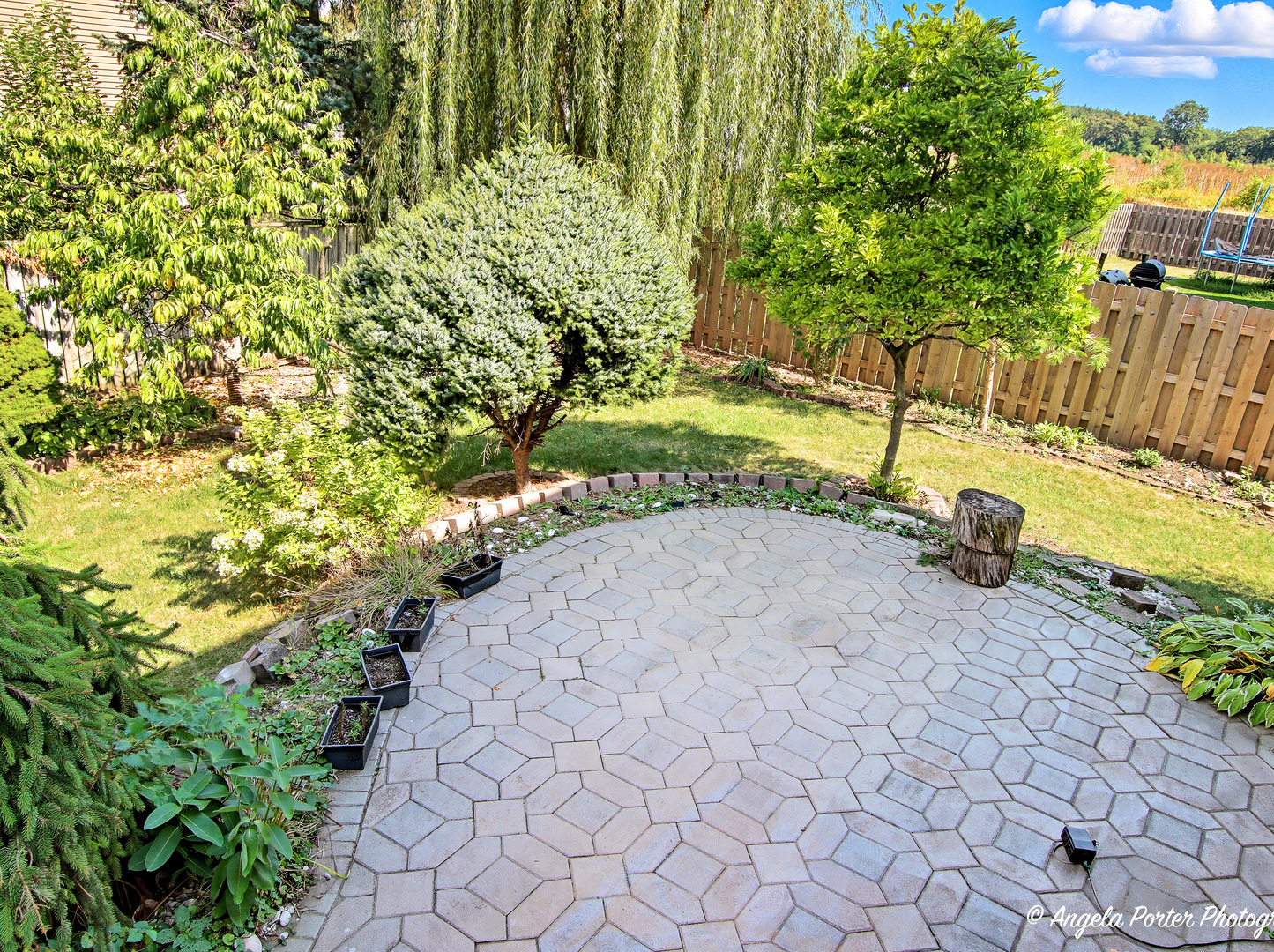 374 W Boxwood Court, Round Lake, IL 60073