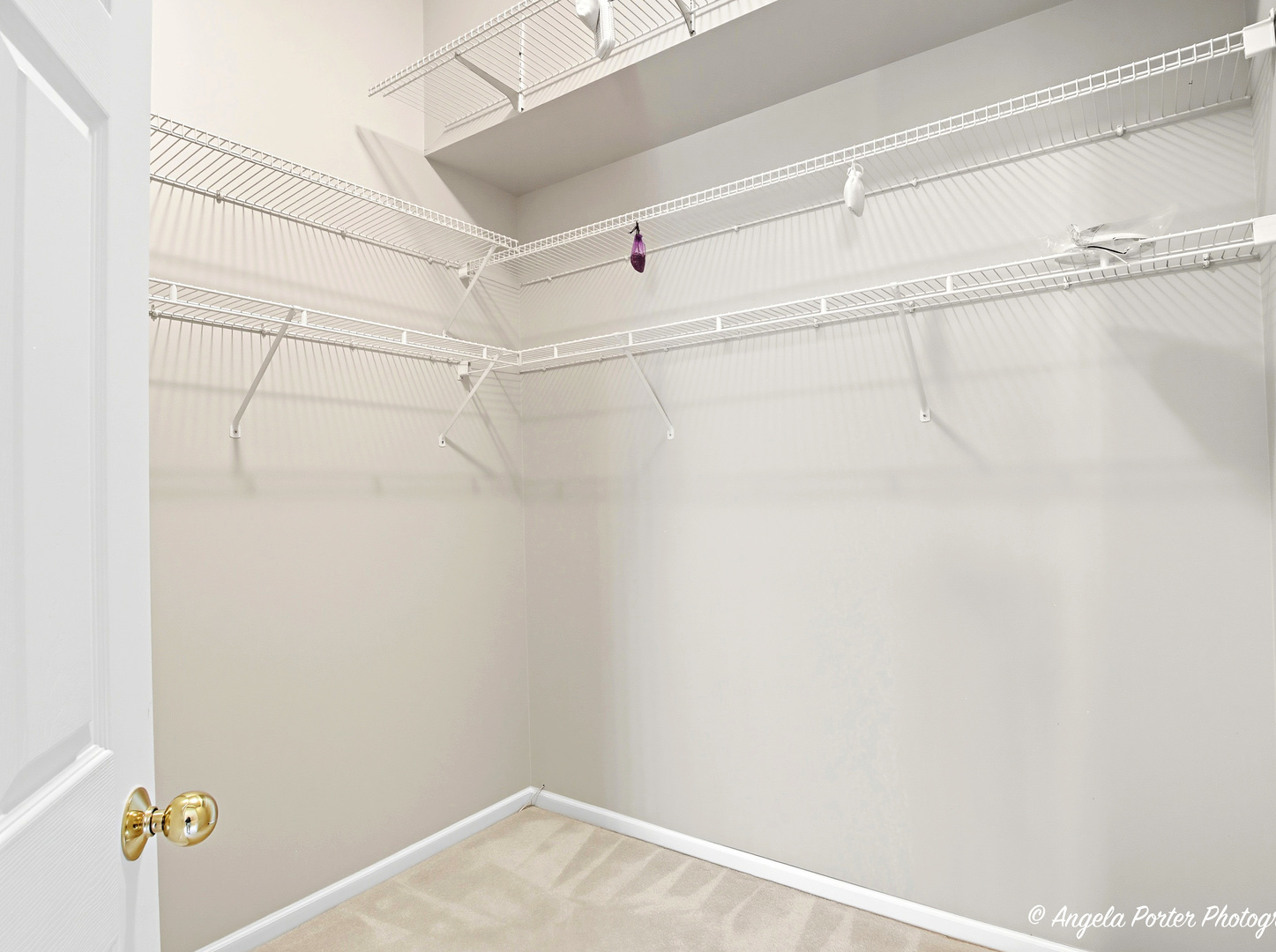 374 W Boxwood Court, Round Lake, IL 60073