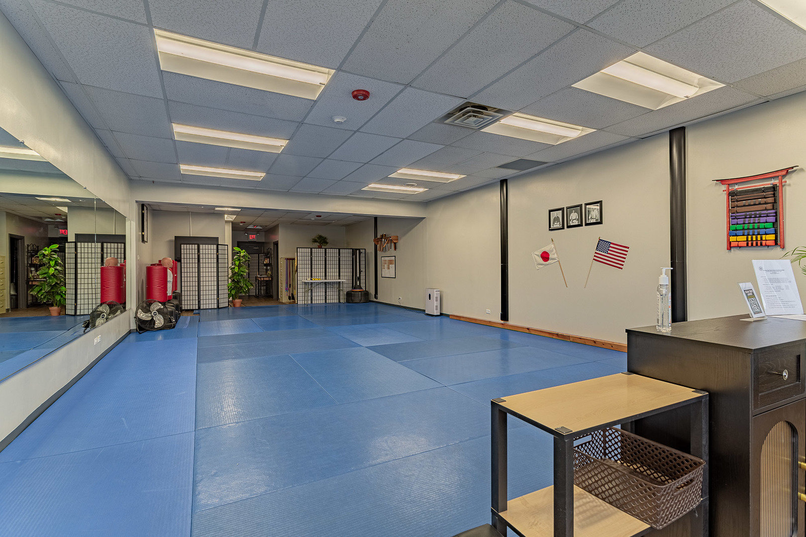 1041 Bonaventure Drive, Elk Grove Village, IL 60007