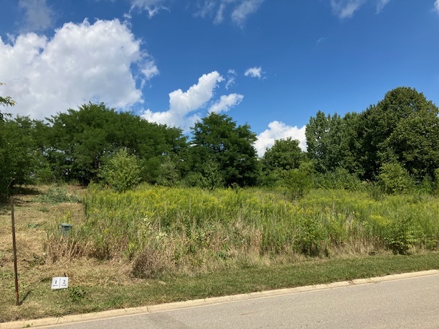 278 Crozier Drive, Grayslake, IL 60030
