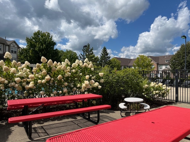 768 June Terrace, Lake Zurich, IL 60047