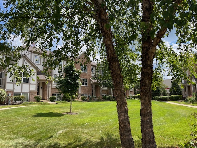 768 June Terrace, Lake Zurich, IL 60047
