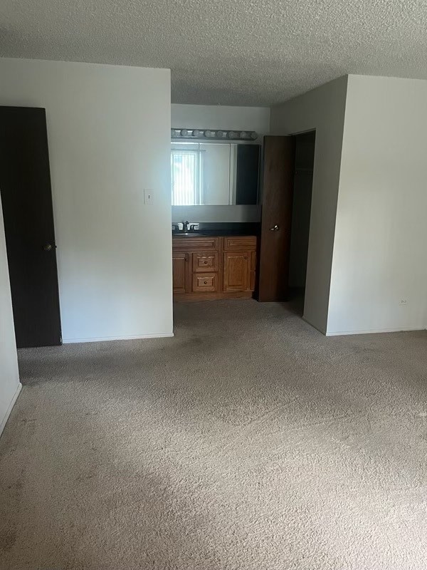 8125 willow Drive #50-B, Palos Hills, IL 60465
