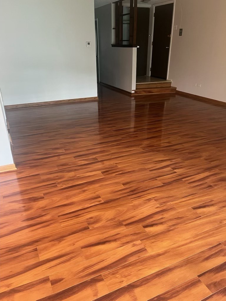 8125 willow Drive #50-B, Palos Hills, IL 60465