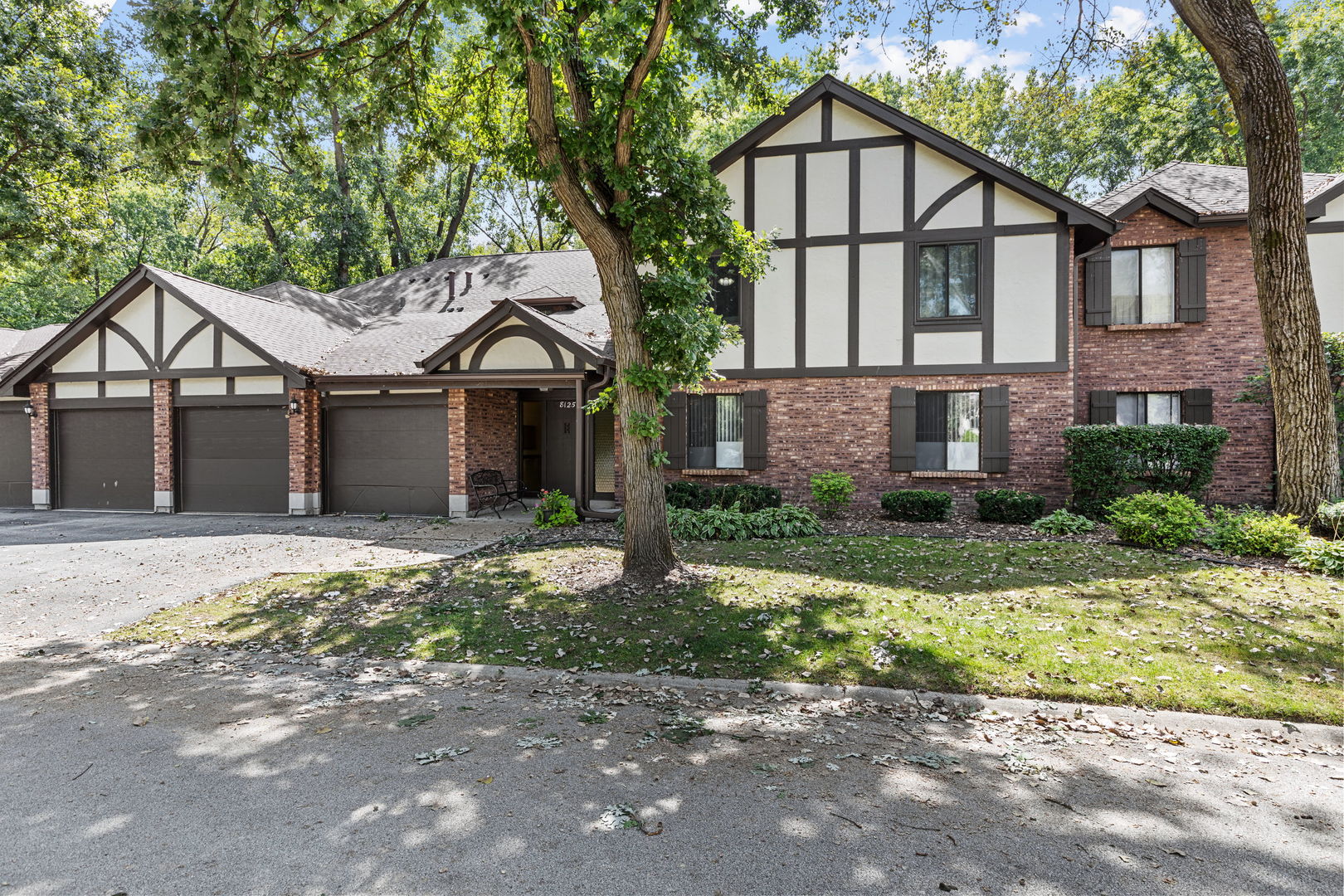 8125 willow Drive #50-B, Palos Hills, IL 60465