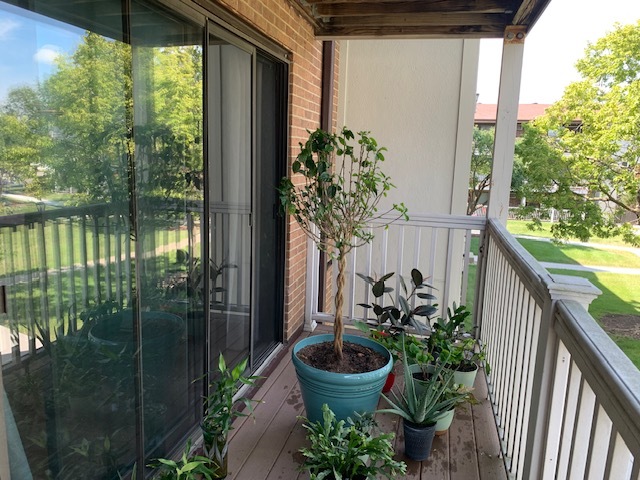137 Gregory Street #9, Aurora, IL 60504