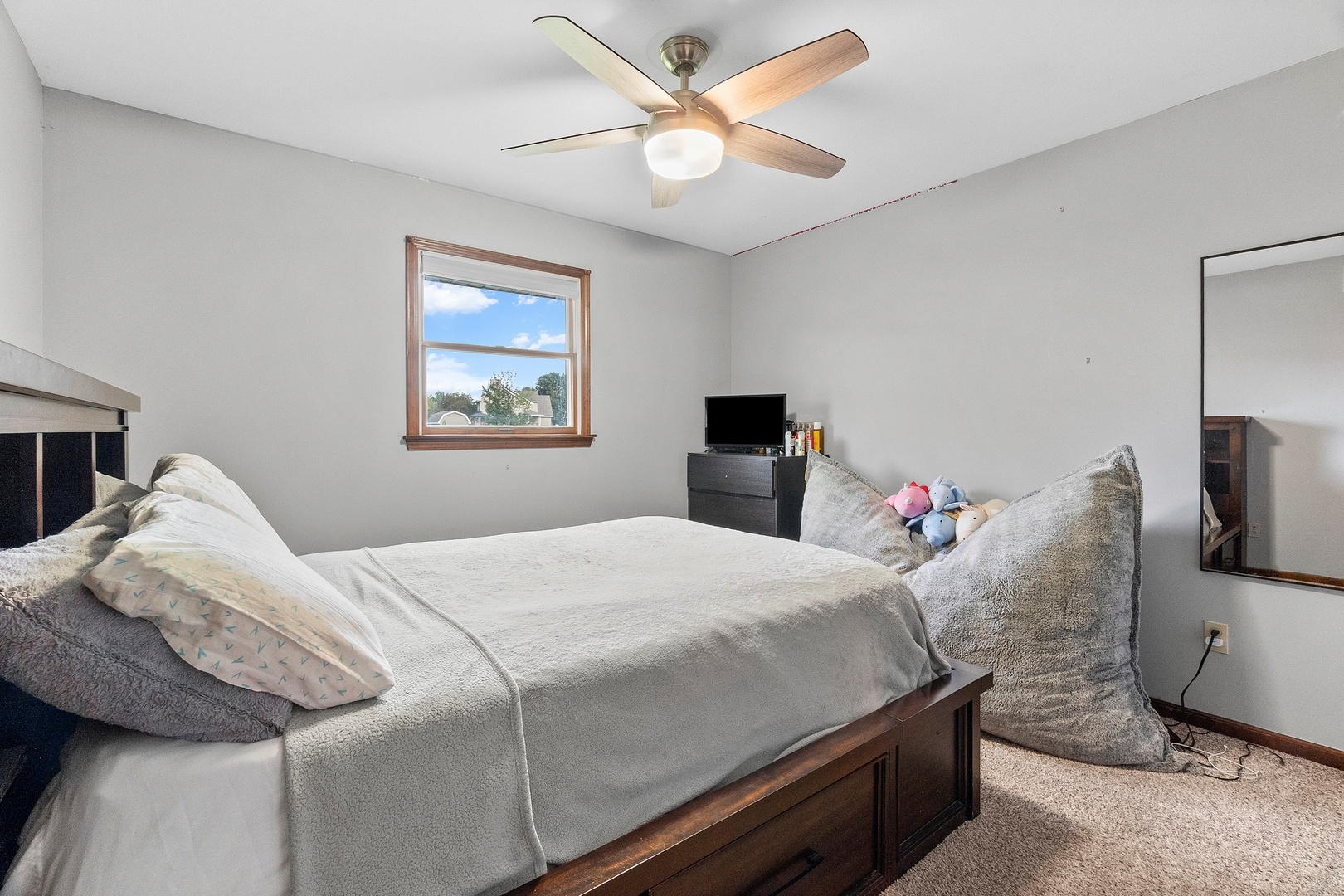 24519 S Edwin Drive, Channahon, IL 60410