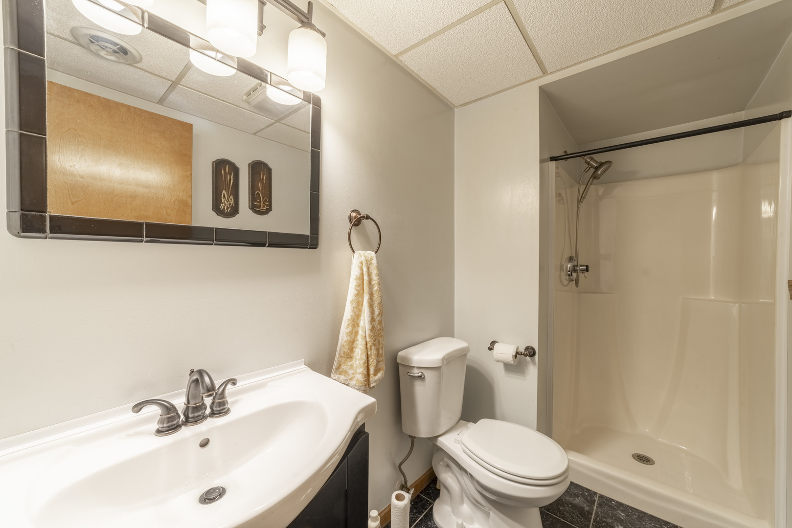 10046 Polk Court, Crown Point, IN 46307