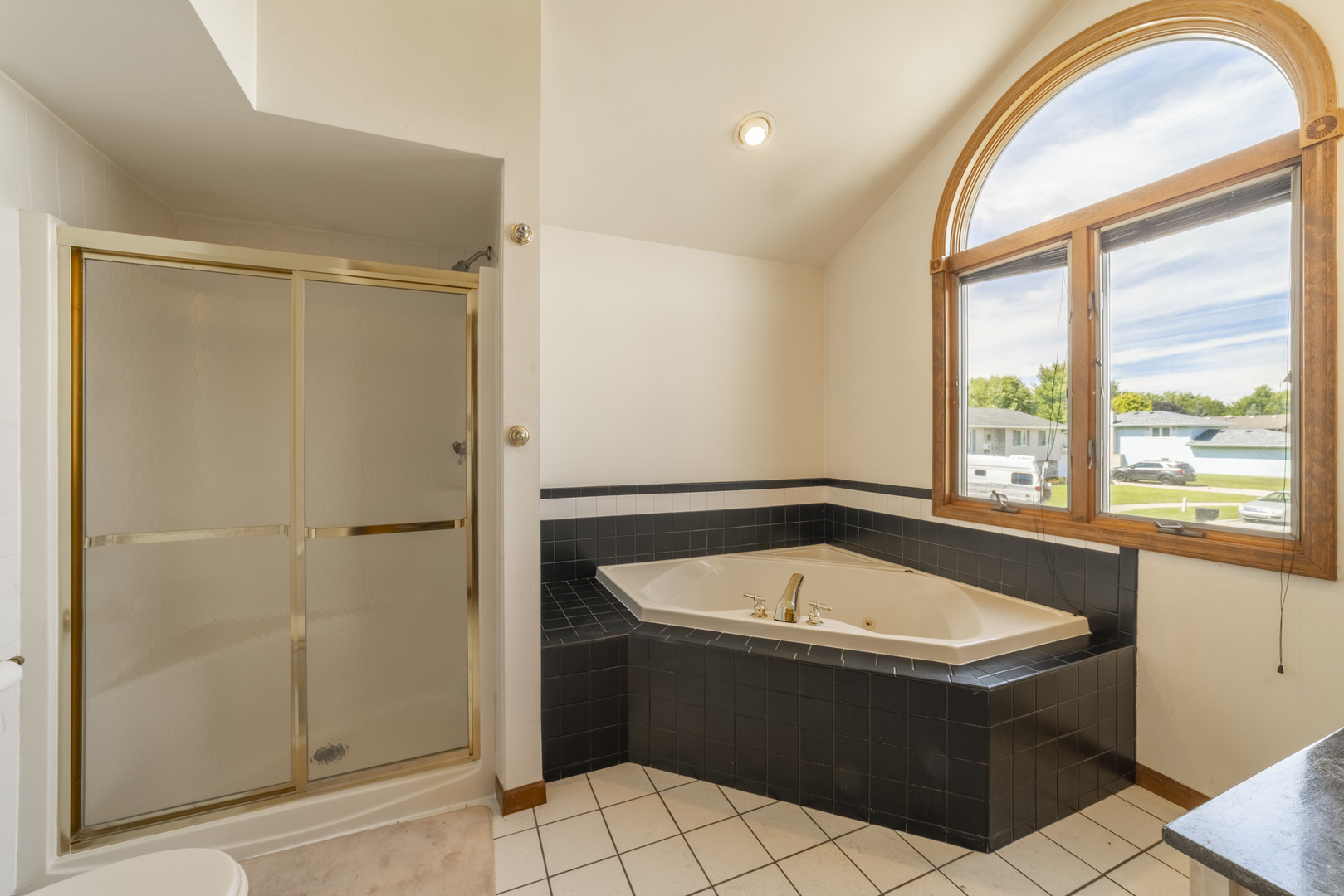 10046 Polk Court, Crown Point, IN 46307